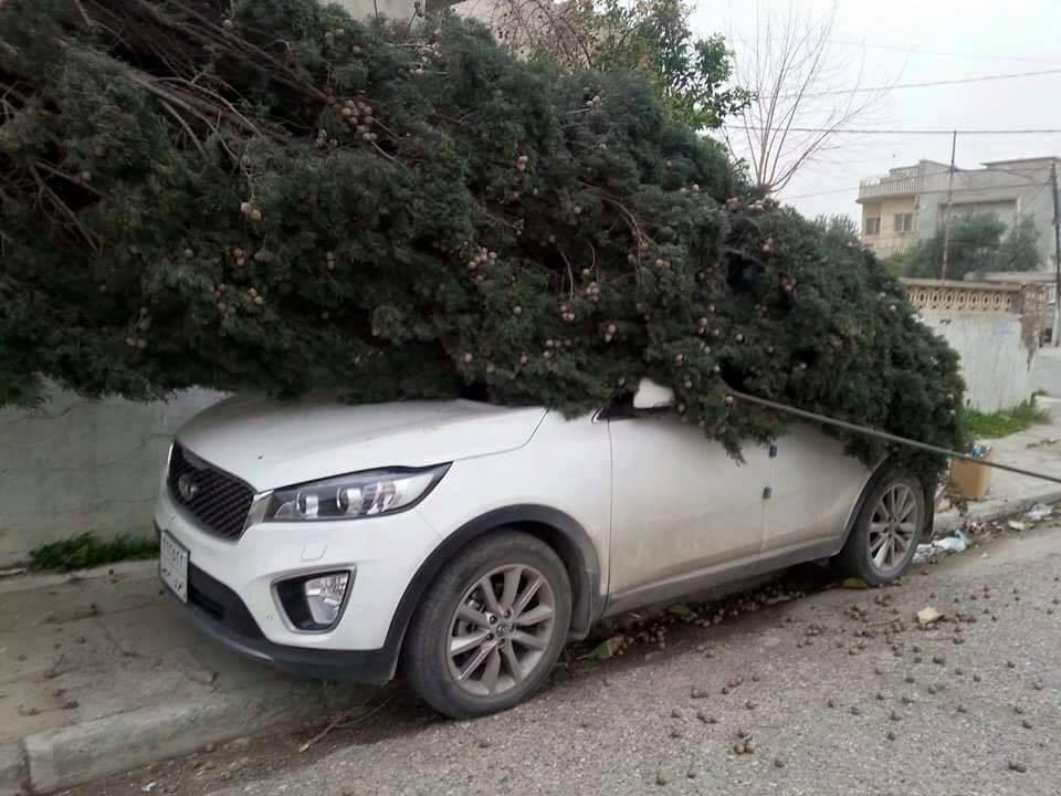 Reşebaya Duhî zîyanek mezin gehand hevwelatîyan.